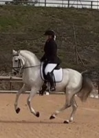 EQUIMASTER DRESSAGE