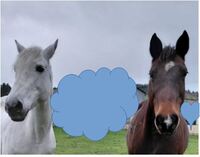 Utopy Leuviah et Ufana